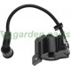 IGNITION COIL FOR SINGU PC250 SINGU 044024-03